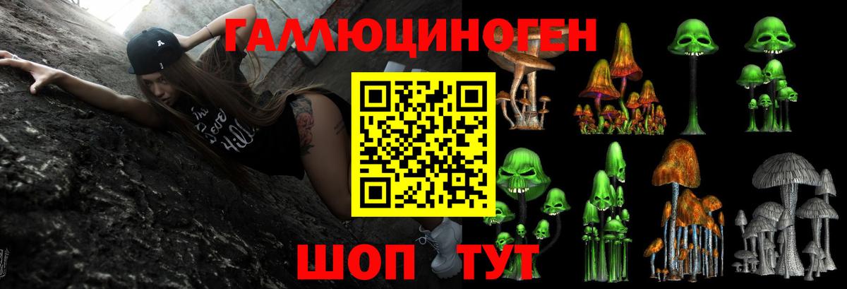 Елизово  Псилоцибиновые грибы мицелий  Вход с VPN 